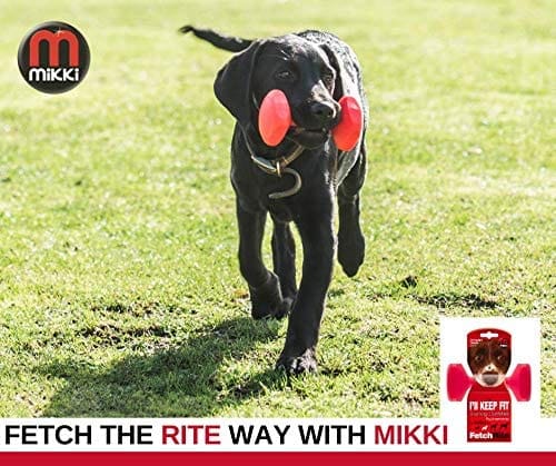 Mikki Dog Training Dumb onlinehubuae Your Gateway to Fitness